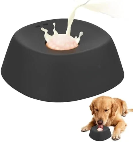 Innovative Slow Feeder Bowl